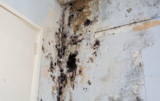 water damage restoration services in McLean, VA
