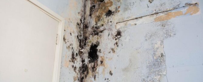 water damage restoration services in McLean, VA