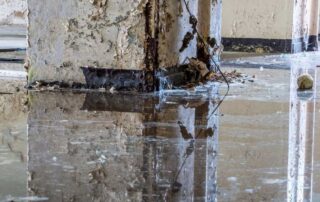 water damage restoration services near Arlington, VA