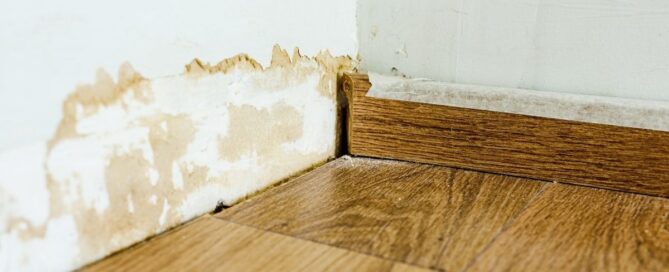 Water damage restoration services in Alexandria, VA technician extracting water