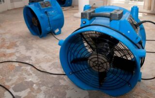 Professional water damage restoration removing water and drying property